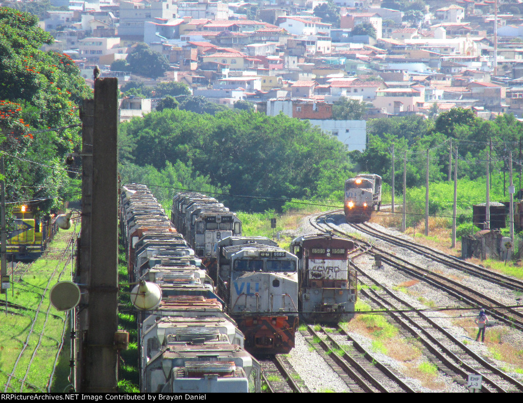 VLI 4821